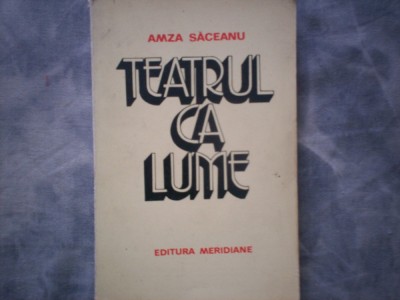 TEATRU CA LUME AMZA SACEANU foto