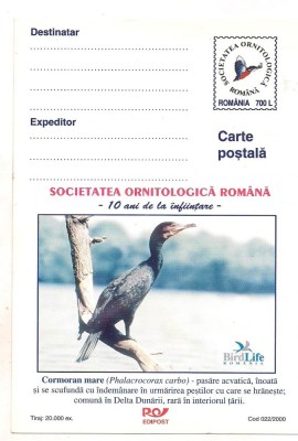 #carte postala-Editia de lux)-pasari-CORMORAN MARE-marca fixa foto