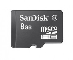 Sandisk Micro SDHC 8GB Bulk 49766 foto