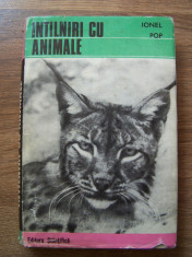 IONEL POP - INTALNIRI CU ANIMALE (Editura Stiintifica, 1972). Editie cartonata foto