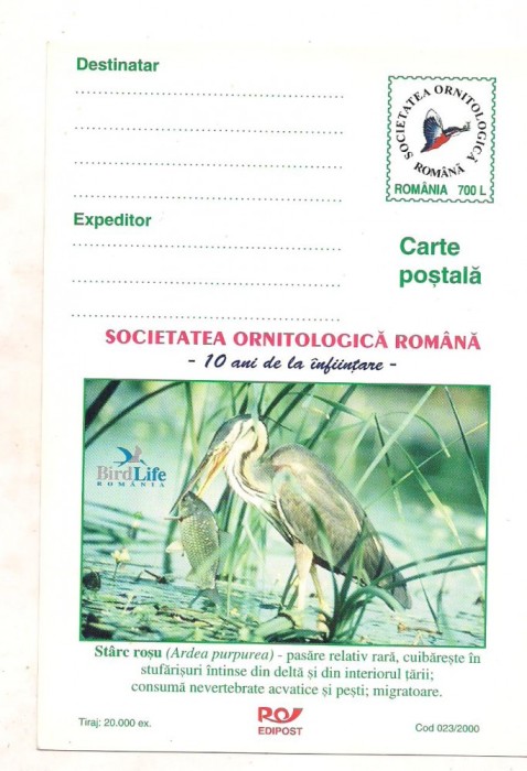 #carte postala-Editia de lux-pasari-STARC ROSU-marca fixa