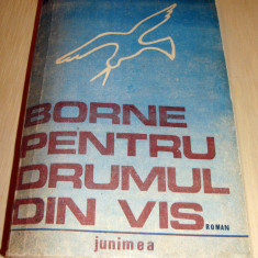 BORNE PENTRU DRUMUL DIN VIS - George Mirea