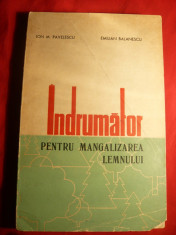 I.Pavelescu si E.Balanescu - Indrumator pt.mangalizarea lemnului 1969 foto