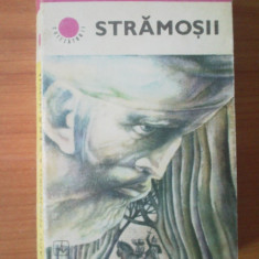 e1 Radu Theodoru - Stramosii