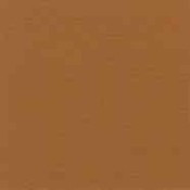 Creion Derwent Watercolour Raw Sienna-ART31858 foto