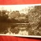 Ilustrata -Vedere spre Sighisoara ,anii &#039;50