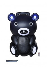 SISTEM PROFESIONAL KARAOKE BOXA ACTIVA TIP URSULETUL PANDA,BOXA ACTIVA CU MP3 PLAYER USB +TELECOMANDA+MICROFON WIRELESS. foto