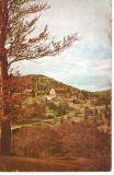 AMP3974 Carpati, peisaj, RPR