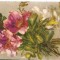 AMP3908 Flori, RPR