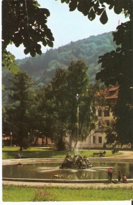 AMP3994 Sinaia, cladire, natura, RPR foto