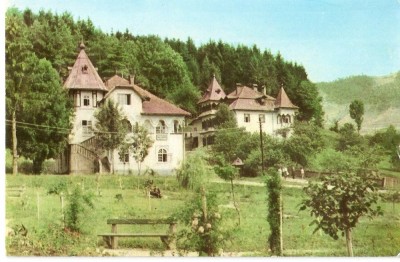 AMP4011 Singeorz Bai, vile, RPR foto