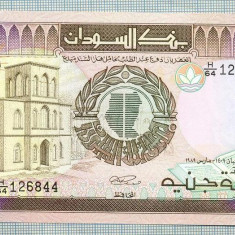 1351 BANCNOTA - SUDAN - 100 POUNDS - anul 1989 -SERIA 126844 -starea care se vede