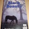 BLACK BEAUTY - Anna Sewell / lb. engleza