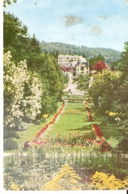 AMP4050 Govora, parc, RPR foto