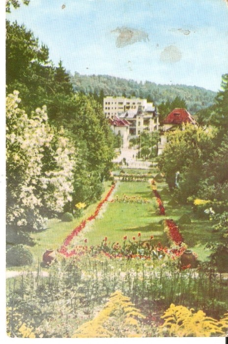 AMP4050 Govora, parc, RPR