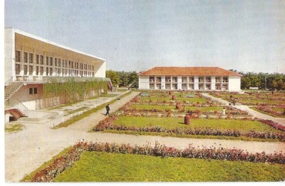 AMP4019 Baile Amara, RPR foto