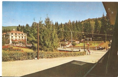 AMP4039 Sovata, RPR foto