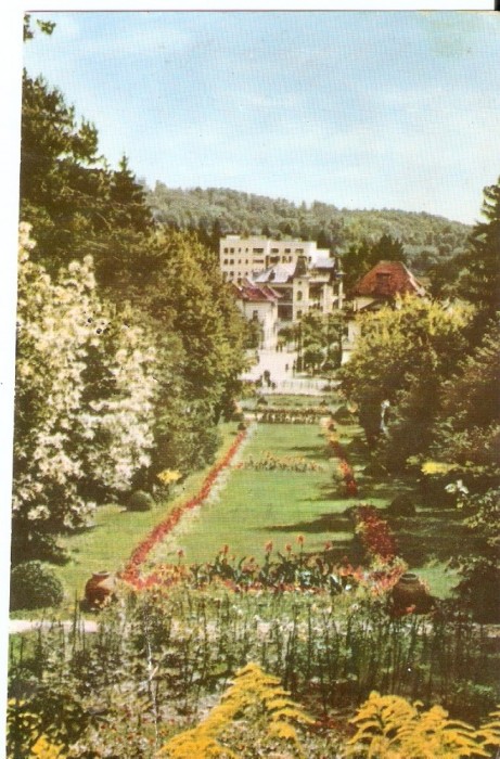 AMP4054 Govora, parc, RPR