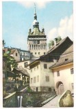 #carte postala(ilustrata)--Sighisoara-Turnul ceasului, Circulata, Printata