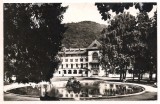 #carte postala(ilustrata)-SINAIA