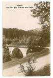 1386 - PIETROSITA, Dambovita, biciclisti la pod - old postcard - used - 1927, Circulata, Printata