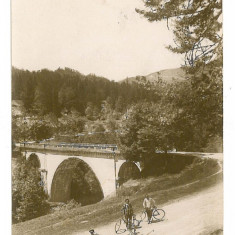 1386 - PIETROSITA, Dambovita, biciclisti la pod - old postcard - used - 1927
