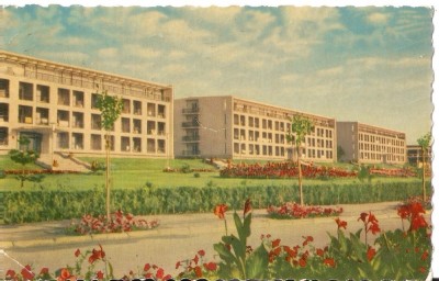 AMP4099 Eforie, vile, RPR foto