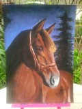 Tablou cu cal Equus