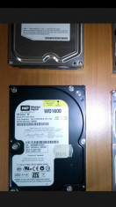 hdd wd 160 gb sata 2 foto