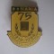 INSIGNA ASOCIATIA SURZILOR 75 ANI 1919-1994