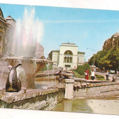 #carte postala(ilustrata)-TIMISOARA -vedere