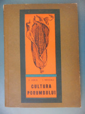 CULTURA PORUMBULUI D.Dinca foto