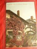 Ilustrata Bouganvillea Vine -California Residence ,cca.1910 SUA, Necirculata