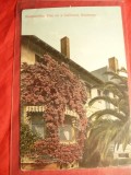Ilustrata Bouganvillea Vine -California Residence ,cca.1910 SUA