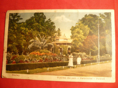Ilustrata Buzias - Parcul ,1935 , color foto