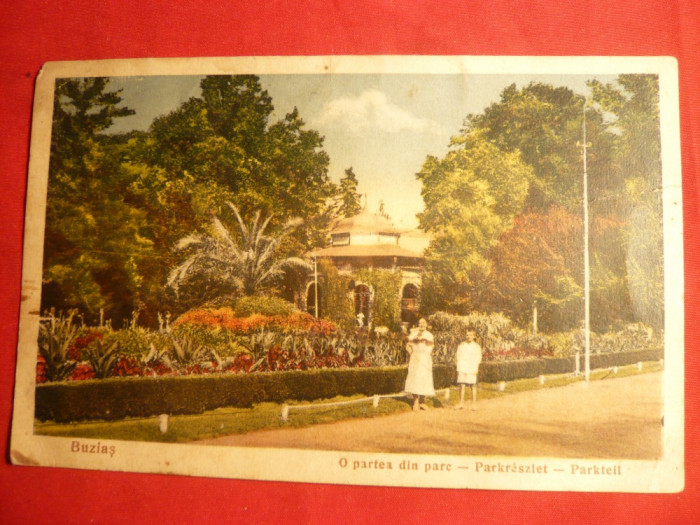 Ilustrata Buzias - Parcul ,1935 , color