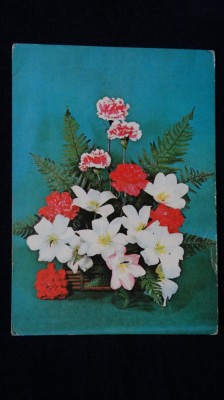 CP RPR - Flori- Intreg postal foto