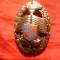 Insigna Academia Militara , metal argintat , h= 6 cm
