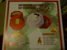 INCUBATOR ELECTRIC CU TERMOSTAT-CLEO 5 CU TERMOSTAT foto