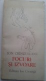 ION CRANGULEANU - FOCURI SI IZVOARE