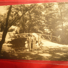 Ilustrata Gradina Botanica a Universitatii ,Japonia cca.1900