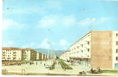 AMP4417 Onesti, blocuri, RPR foto