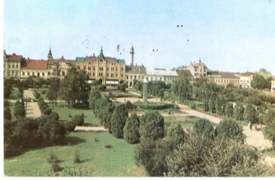 AMP4494 Satu Mare, piata, RPR foto