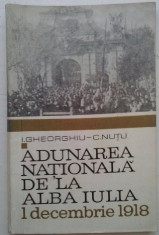 I. GHEORGHIU, C. NUTU - ADUNAREA NATIONALA DE LA ALBA IULIA 1 DECEMBRIE 1918 foto