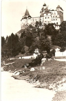 AMP25 Bran, castel, RPR foto