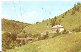 AMP4462 Borsa, peisaj, RPR