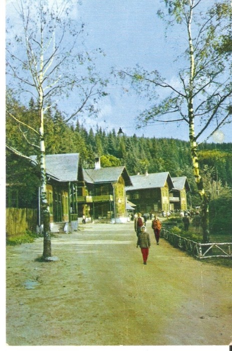 AMP4318 Paltinis, RPR