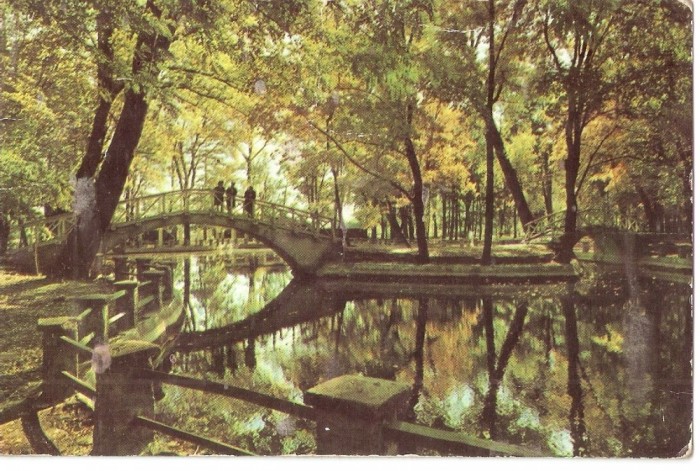 AMP4323 Botosani, parc, RPR