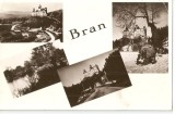 AMP19 Bran, RPR