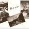 AMP19 Bran, RPR